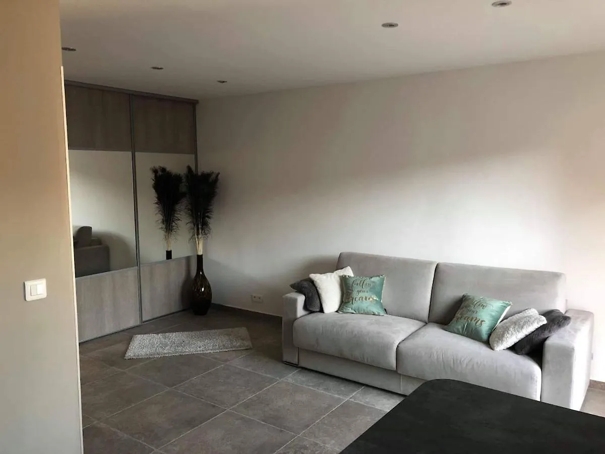 Apartment Grand Studio Centre Antibes